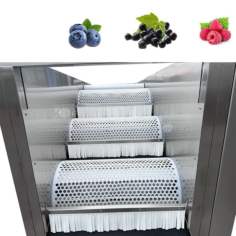 images/1763359906450blueberry sorting 1.jpg